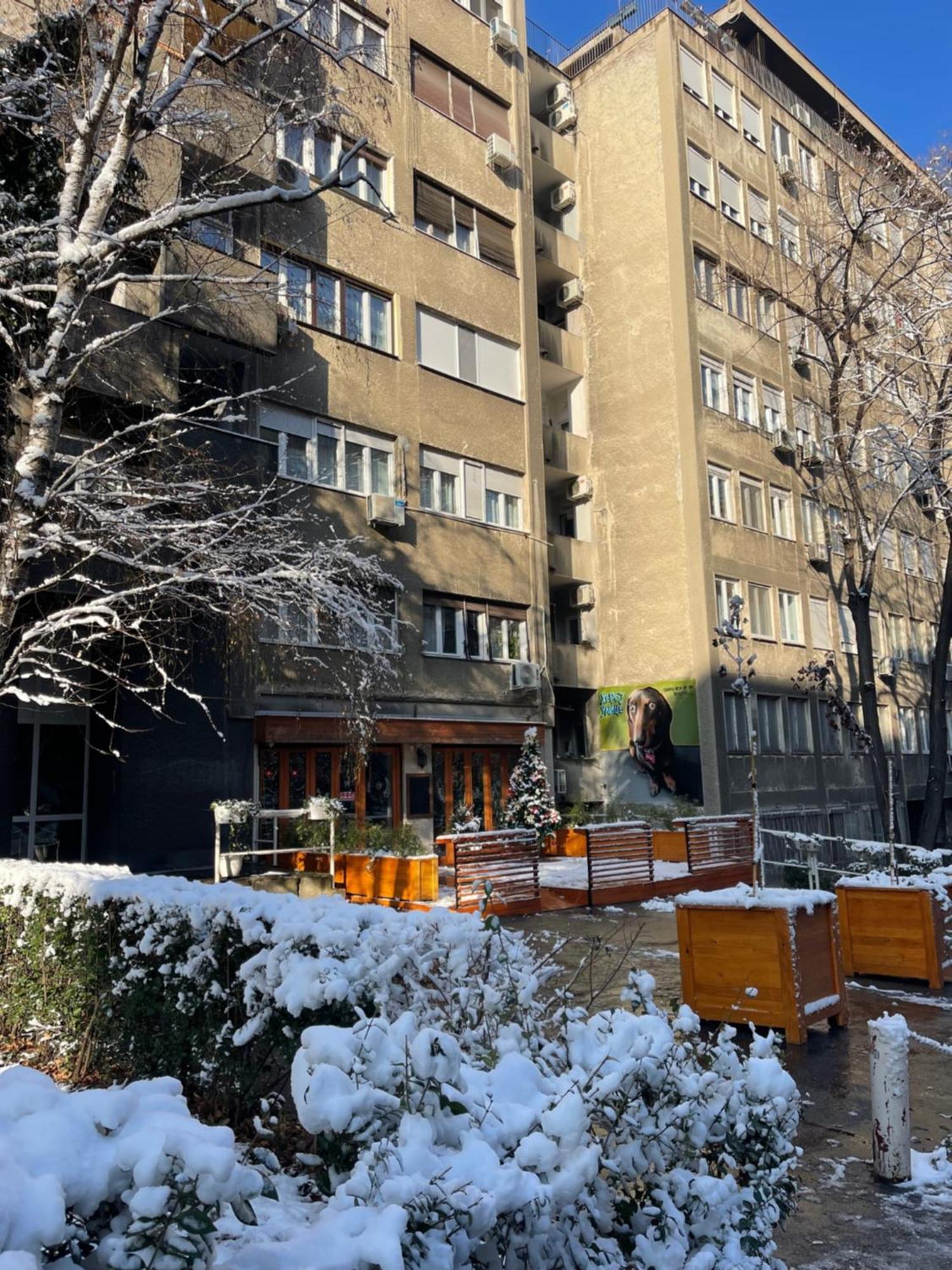 בלגרד Apartment Mirochka מראה חיצוני תמונה